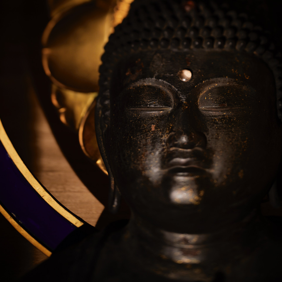 眠れる慈悲 21世紀の仏教を考える　僕たちの視線、私たちの視界